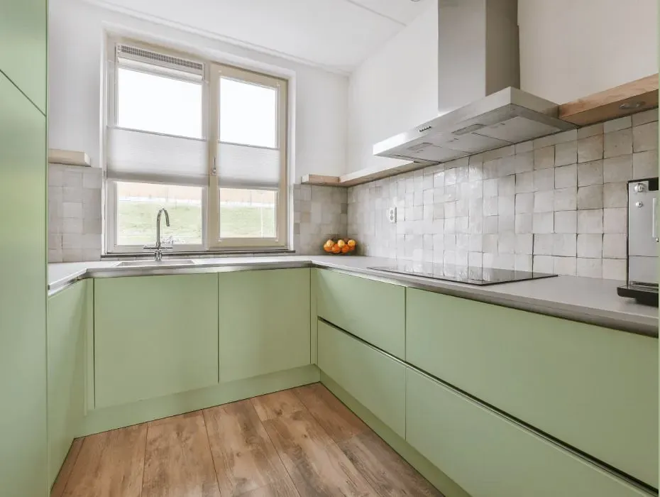Benjamin Moore Kittery Point Green small kitchen cabinets