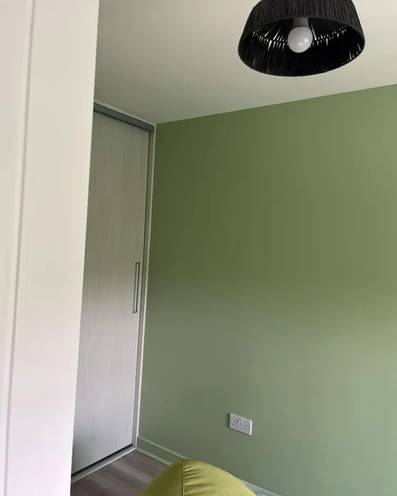 Benjamin Moore Kittery Point Green wall paint photo