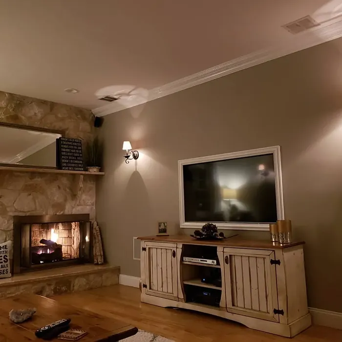 La Paloma Gray living room paint