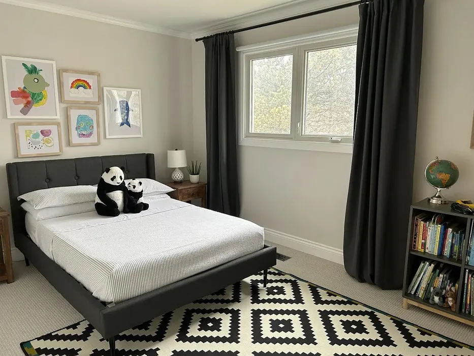 Benjamin Moore Lacey Pearl bedroom color