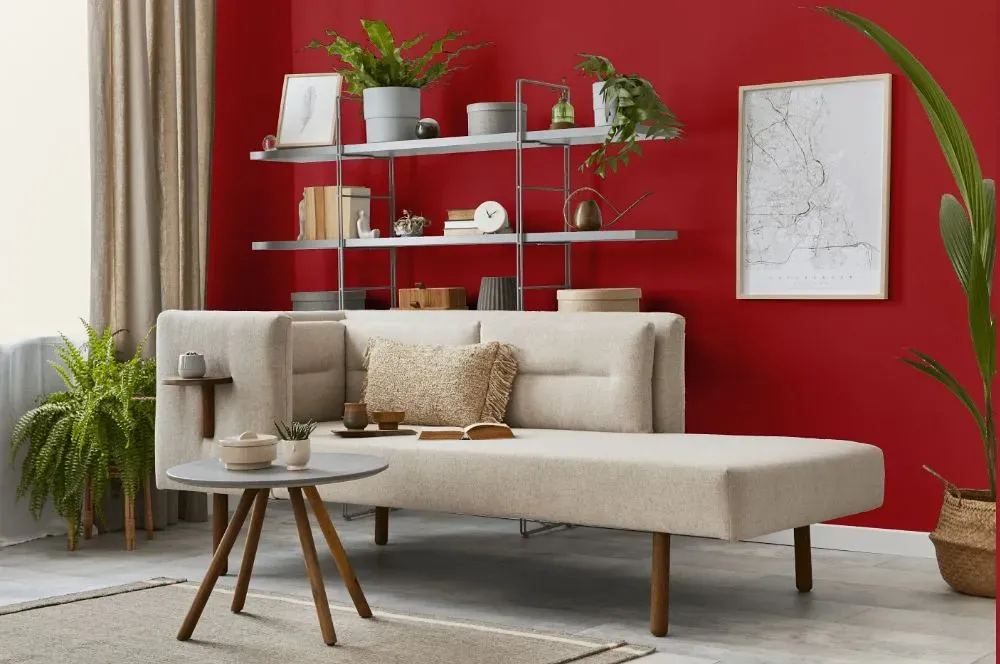 Benjamin Moore Ladybug Red living room