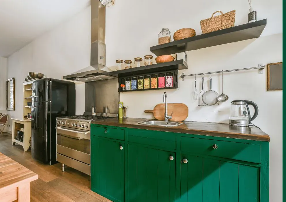 Benjamin Moore Lawn Green kitchen cabinets