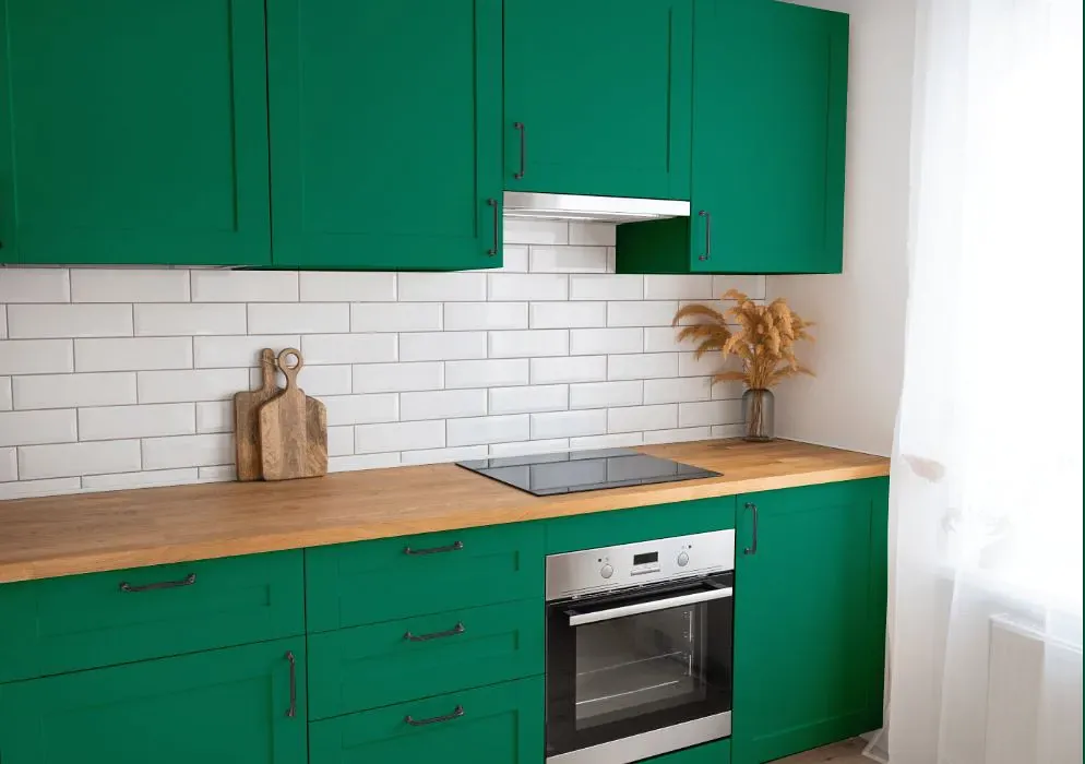 Benjamin Moore Lawn Green kitchen cabinets