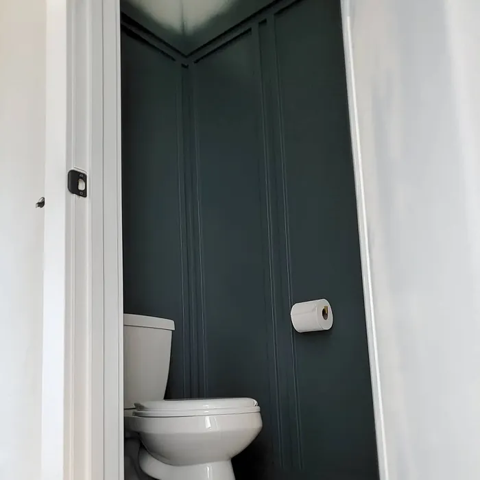 Lead Gray bathroom color