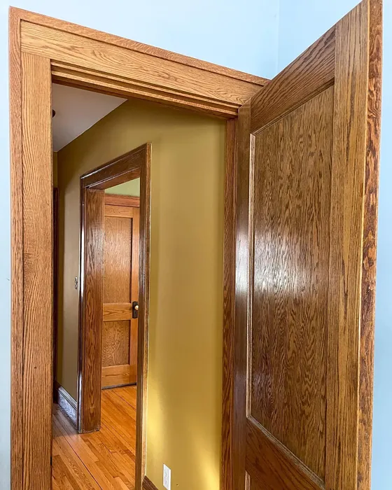 Benjamin Moore Leap of Faith hallway 