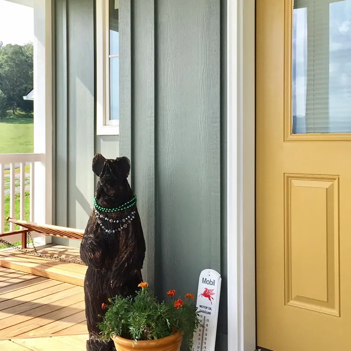 Benjamin Moore Leap of Faith front door color