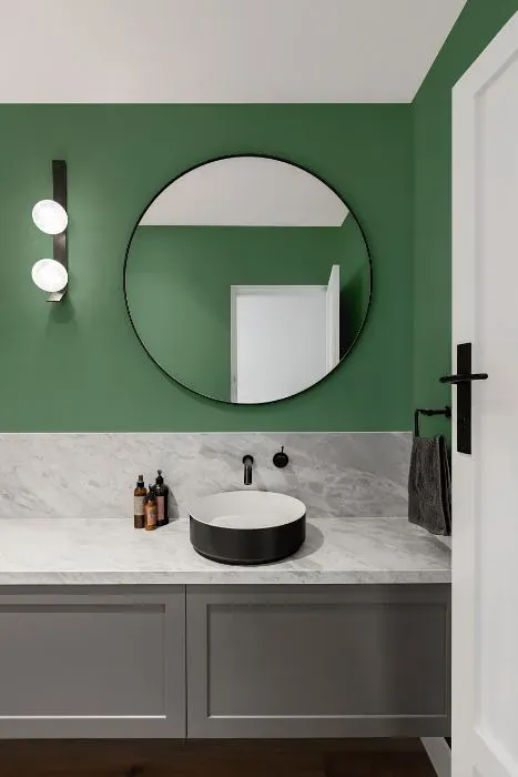 Benjamin Moore Lehigh Green minimalist bathroom