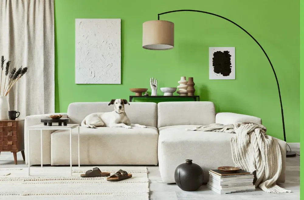 Benjamin Moore Leprechaun Green cozy living room