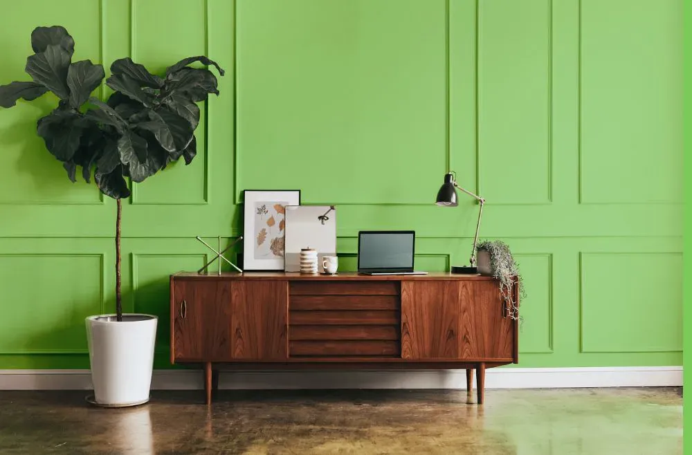 Benjamin Moore Leprechaun Green modern interior