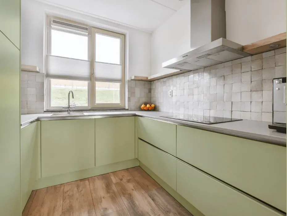 Benjamin Moore Levingston Green small kitchen cabinets