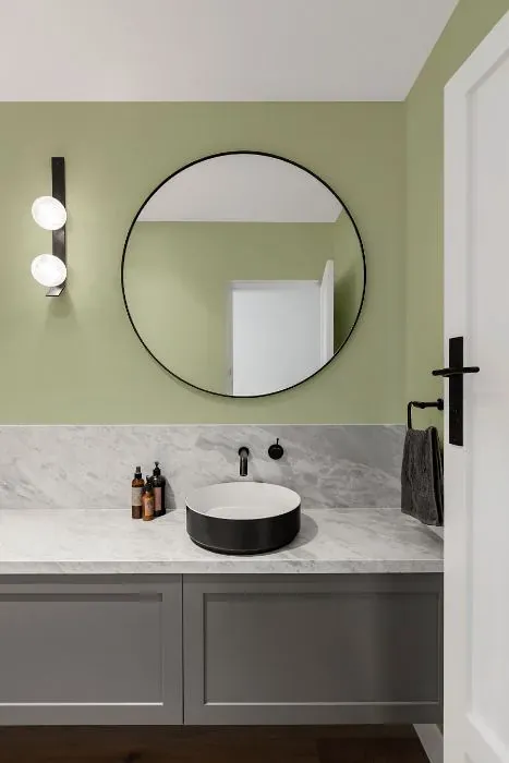 Benjamin Moore Levingston Green minimalist bathroom
