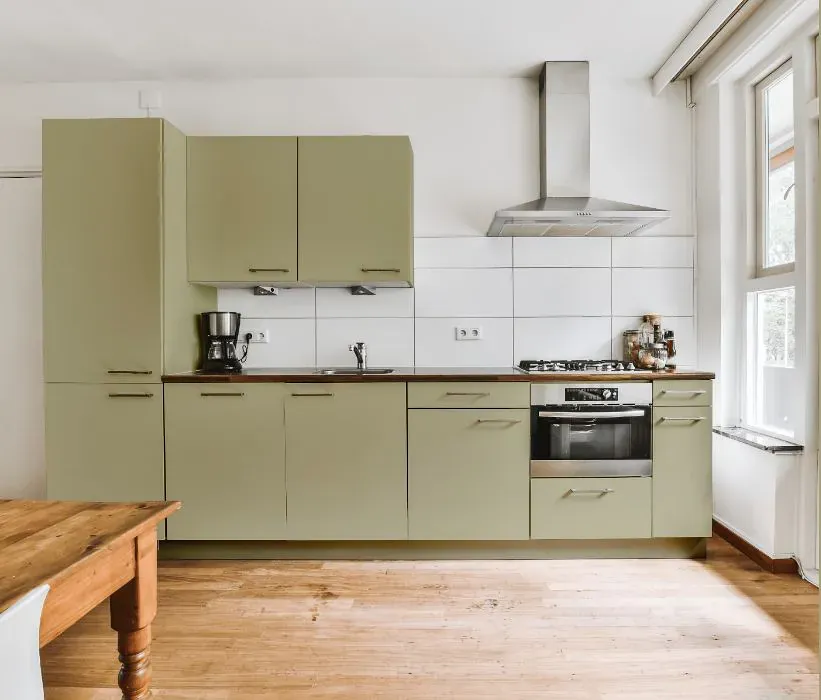 Benjamin Moore Lichen Stone kitchen cabinets