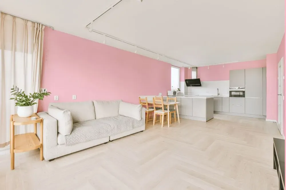 Benjamin Moore Light Chiffon Pink living room interior