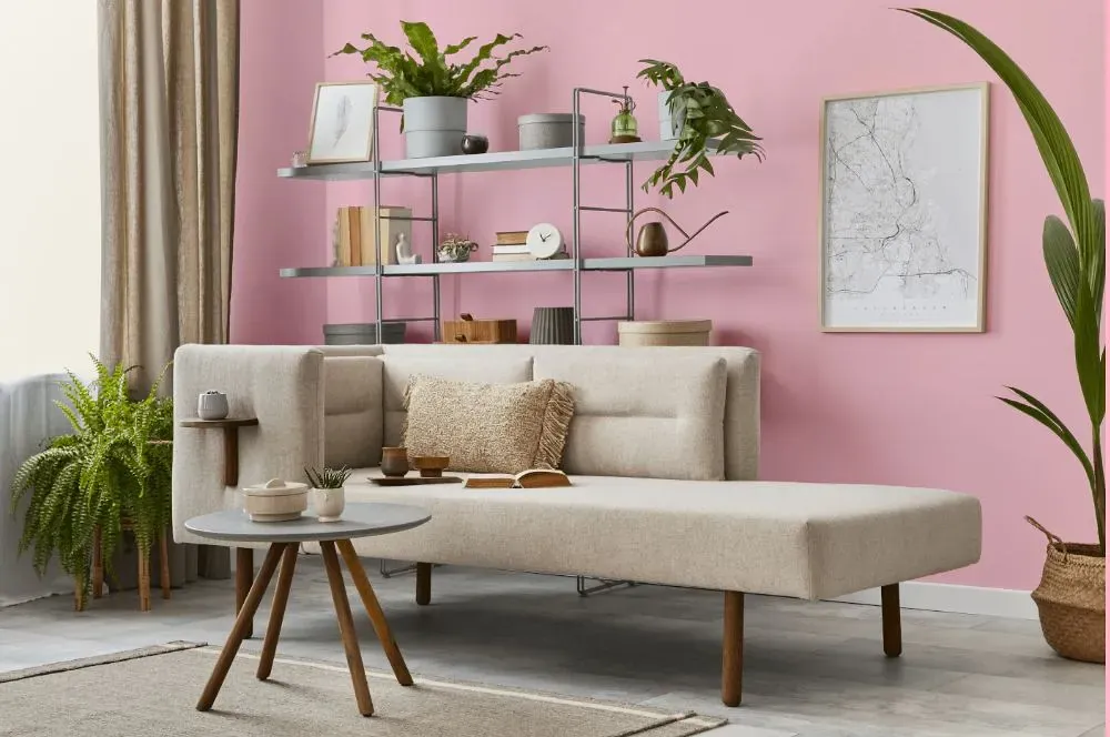 Benjamin Moore Light Chiffon Pink living room