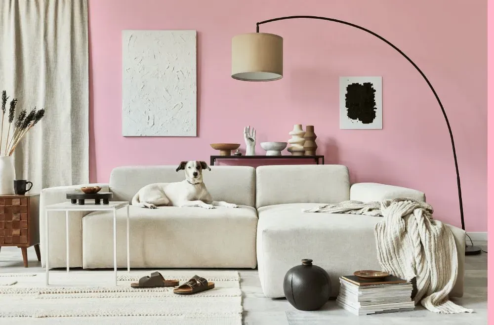 Benjamin Moore Light Chiffon Pink cozy living room