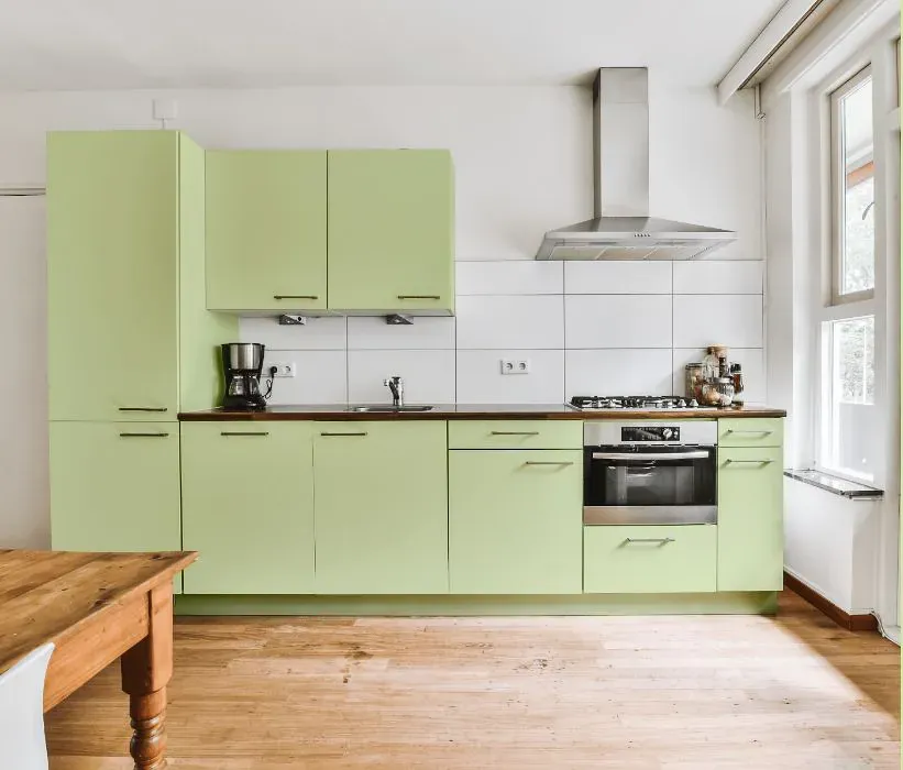 Benjamin Moore Light Green kitchen cabinets