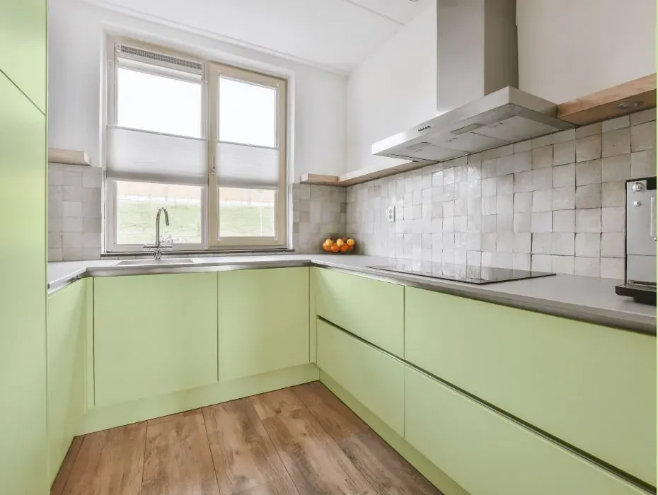 Benjamin Moore Light Green small kitchen cabinets