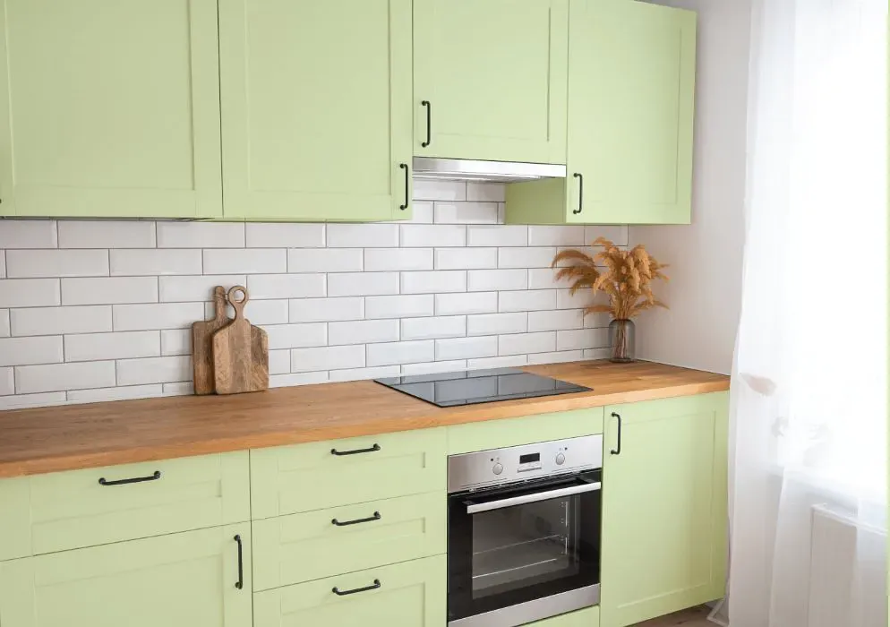 Benjamin Moore Light Green kitchen cabinets