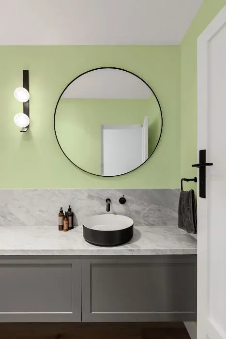 Benjamin Moore Light Green minimalist bathroom