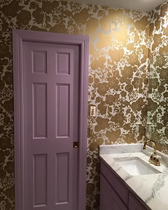 Benjamin Moore Lily Lavender door color