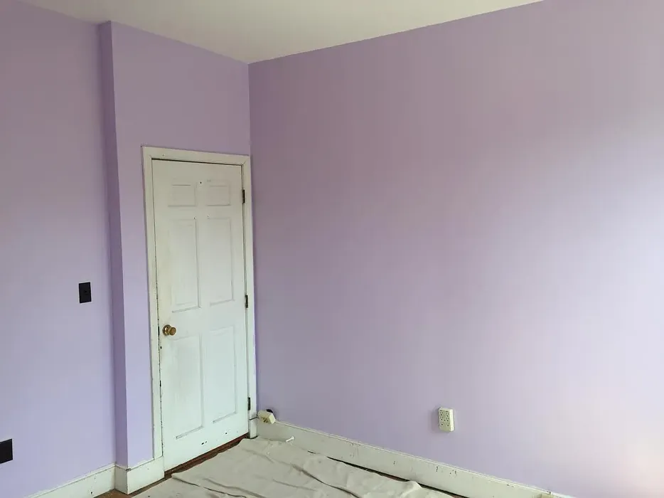 Benjamin Moore Lily Lavender wall paint color