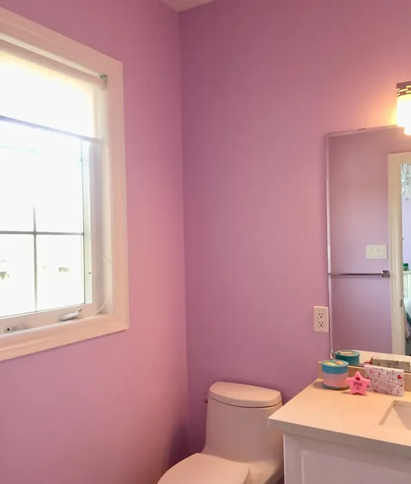 Benjamin Moore Lily Lavender bathroom paint