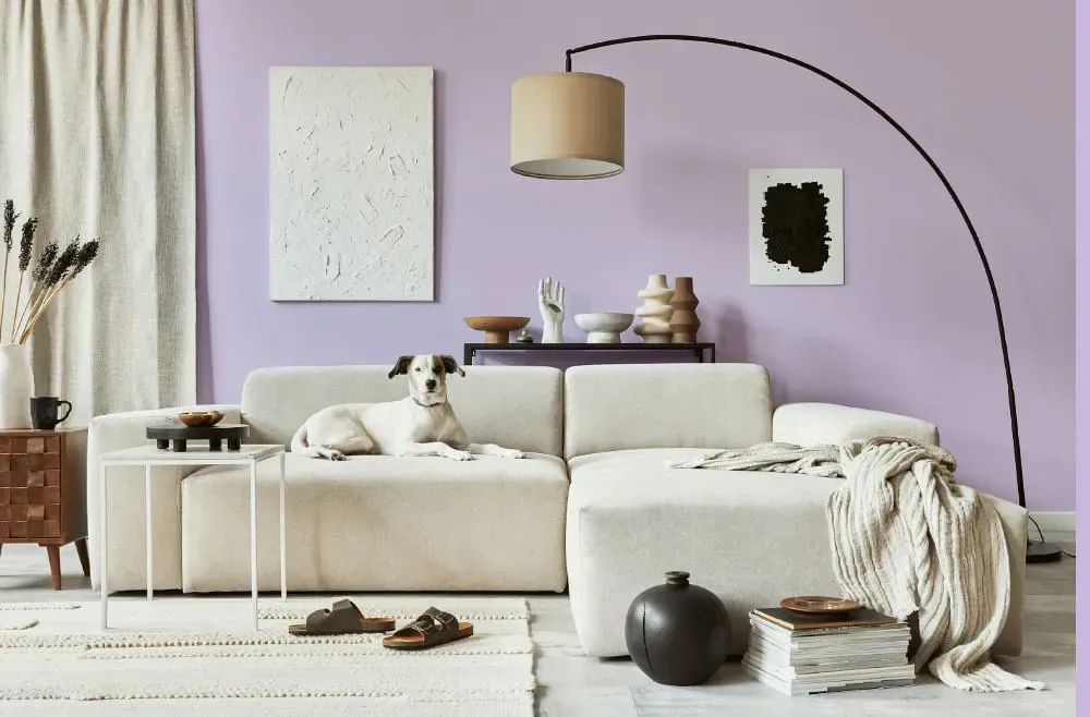 Benjamin Moore Lily Lavender cozy living room