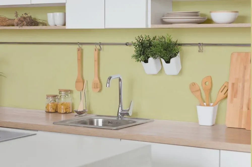 Benjamin Moore Lime Sherbet kitchen backsplash