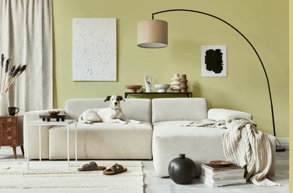 Benjamin Moore Lime Sherbet cozy living room