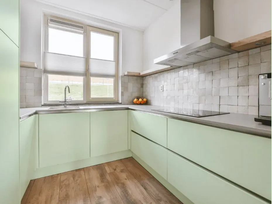 Benjamin Moore Lime Sorbet small kitchen cabinets