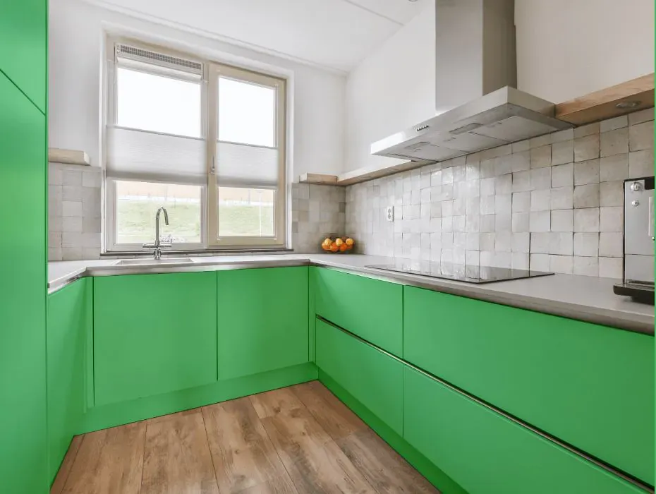 Benjamin Moore Lime Tart small kitchen cabinets