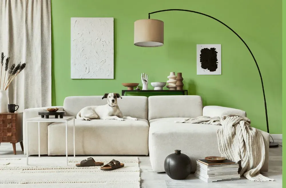 Benjamin Moore Lime Twist cozy living room