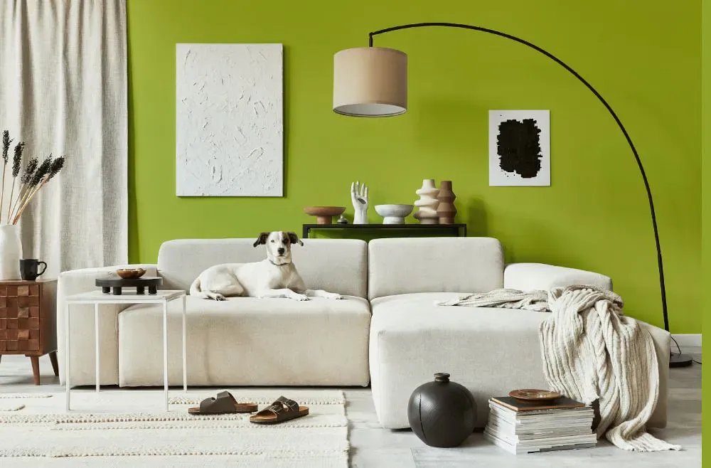 Benjamin Moore Limeade cozy living room