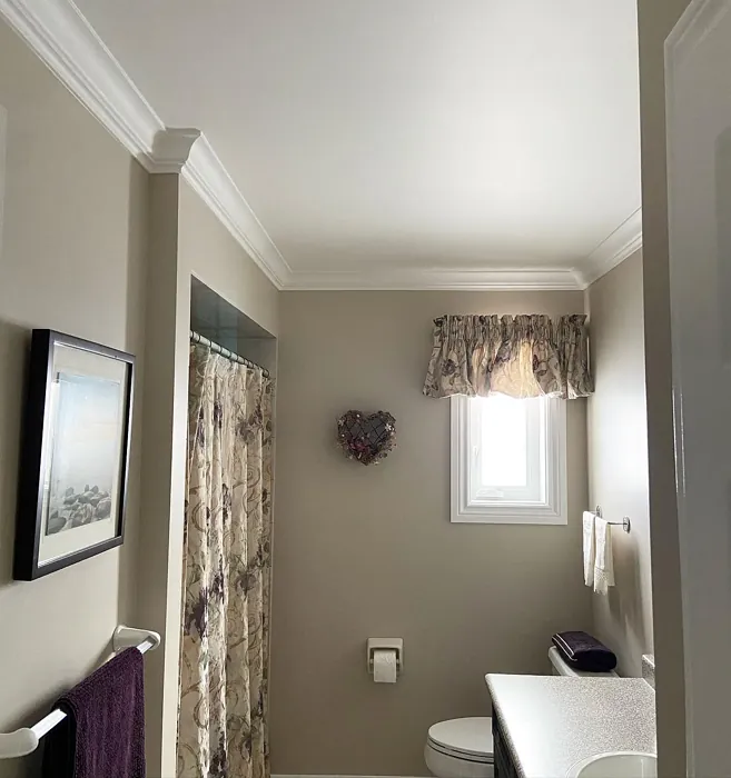 Benjamin Moore Litchfield Gray bathroom 