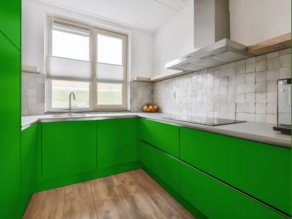 Benjamin Moore Lizard Green small kitchen cabinets