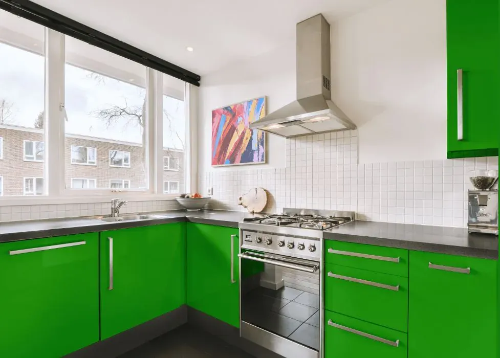Benjamin Moore Lizard Green kitchen cabinets