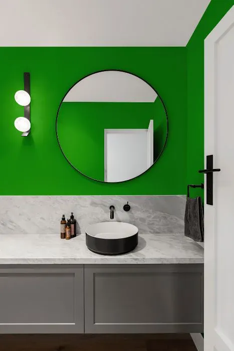 Benjamin Moore Lizard Green minimalist bathroom
