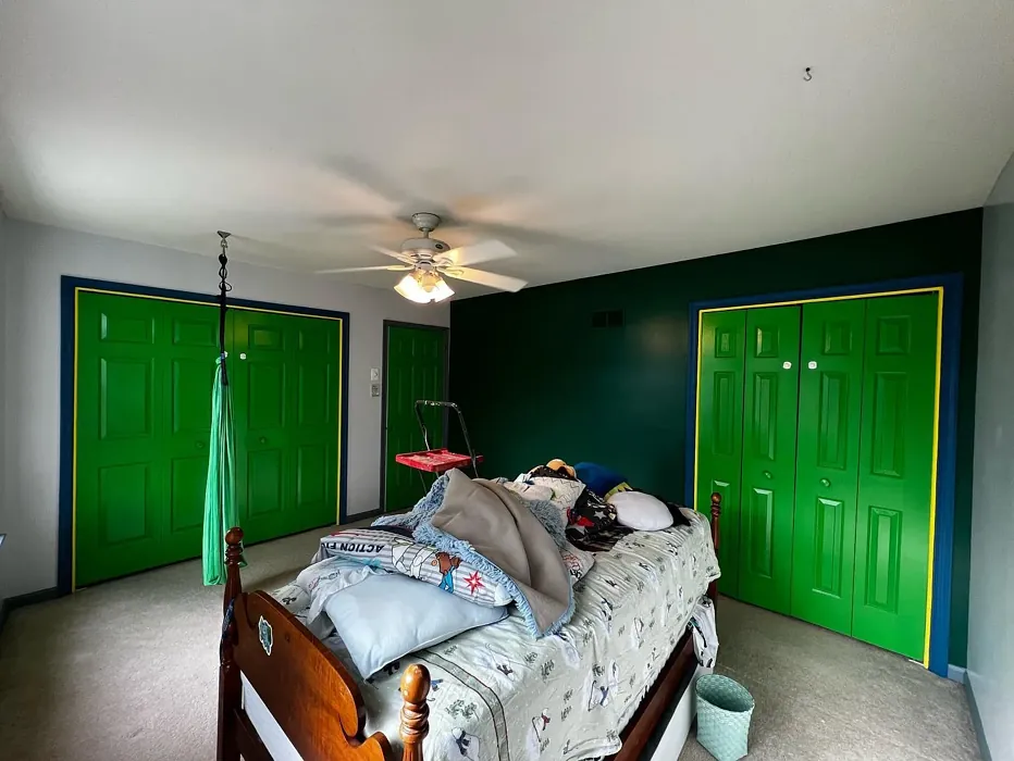 Lizard Green door paint