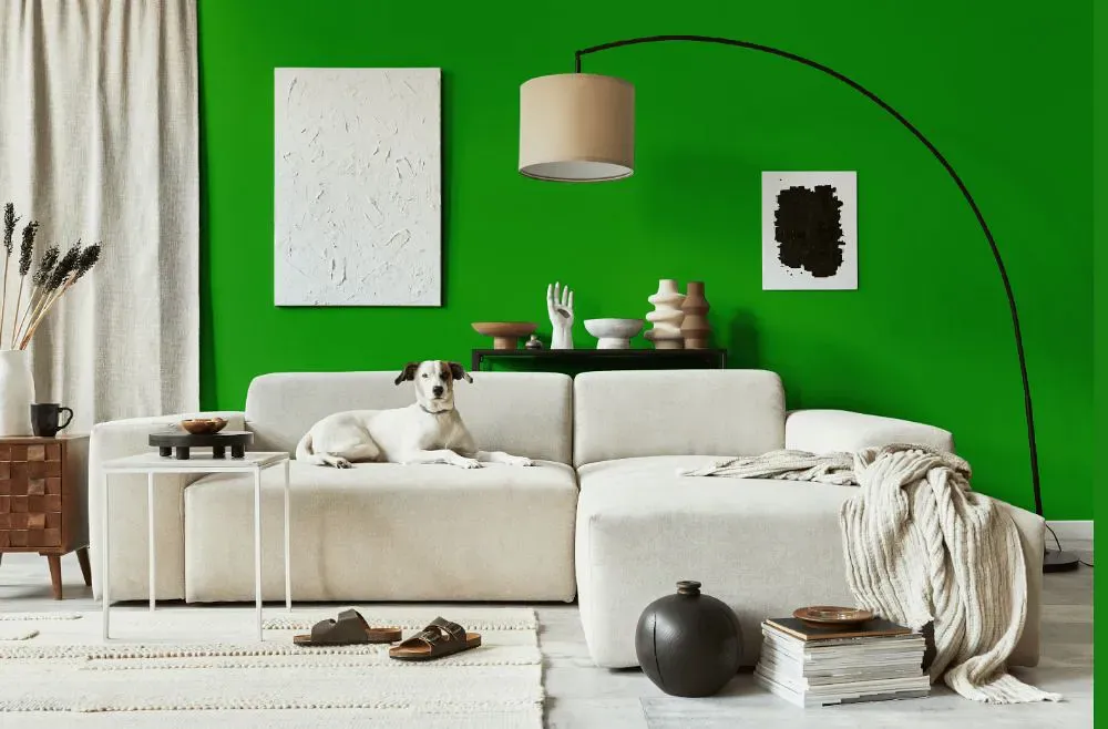 Benjamin Moore Lizard Green cozy living room