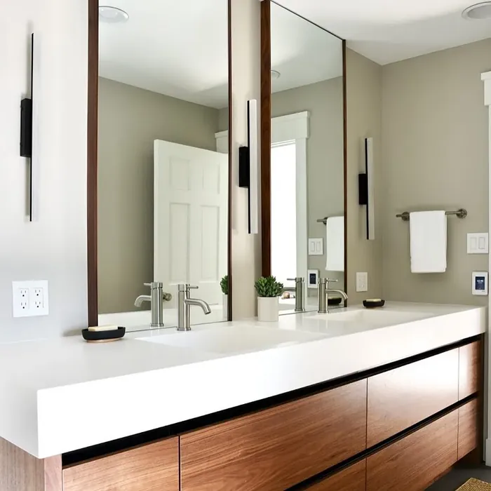 Benjamin Moore London Fog bathroom color