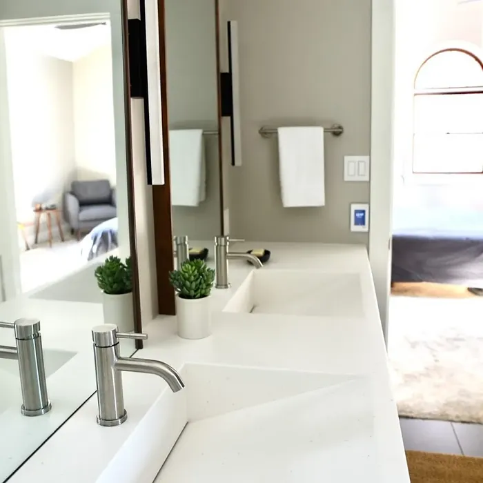 Benjamin Moore London Fog bathroom 