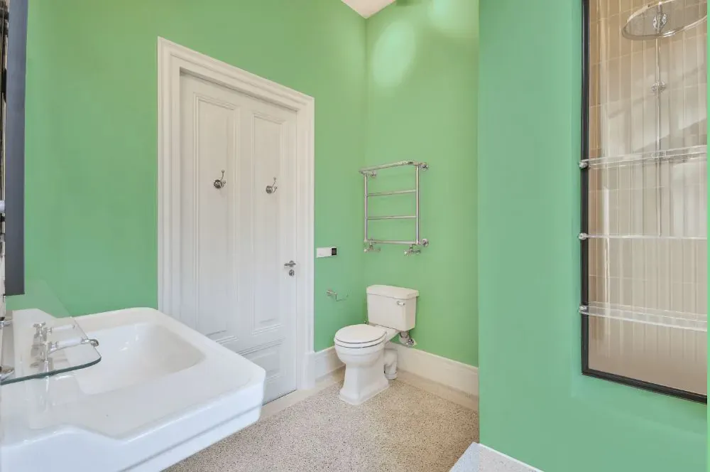 Benjamin Moore Lotus Flower bathroom