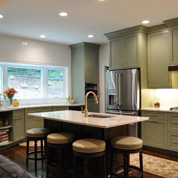Louisburg Green Kitchen Cabinets