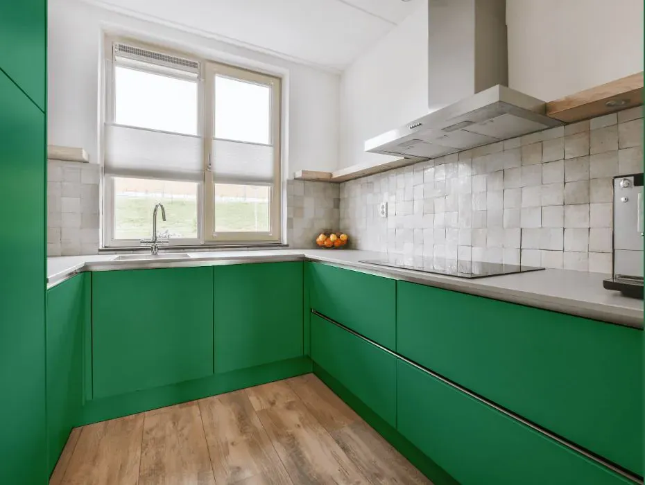 Benjamin Moore Luck of the Irish small kitchen cabinets