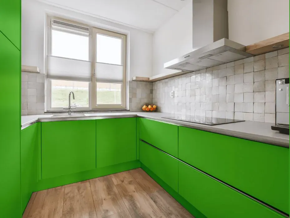 Benjamin Moore Lucky Charm Green small kitchen cabinets