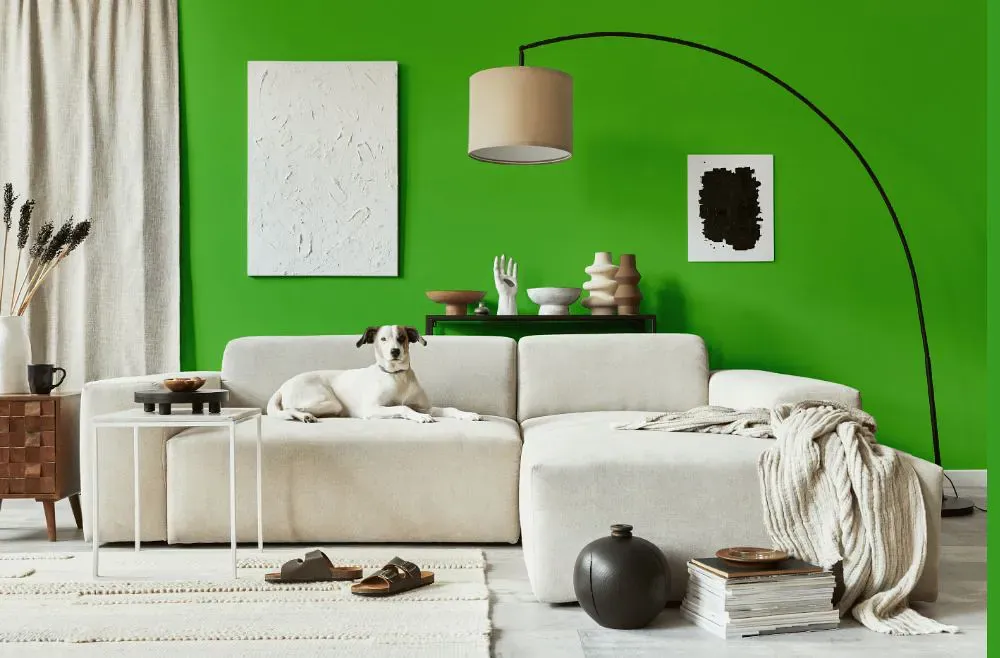 Benjamin Moore Lucky Charm Green cozy living room