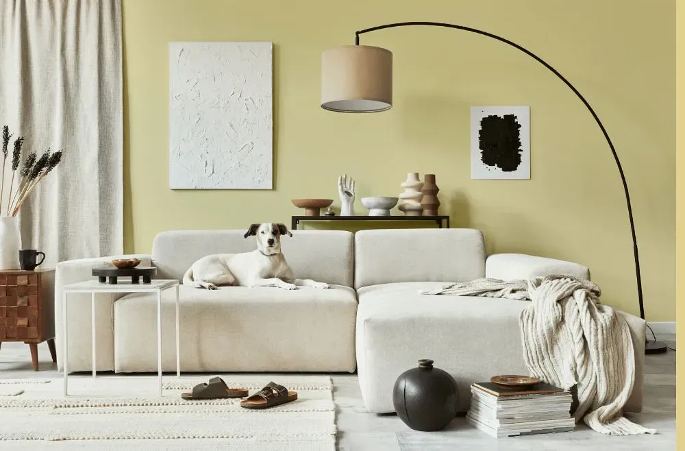Benjamin Moore Luminaire cozy living room