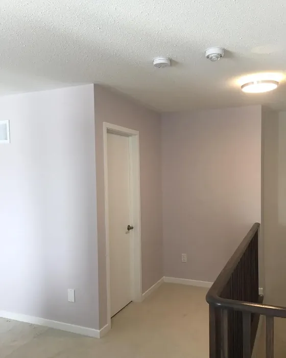 Benjamin Moore Majestic Mauve wall paint 