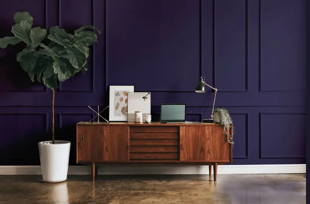 Benjamin Moore Majestic Violet modern interior