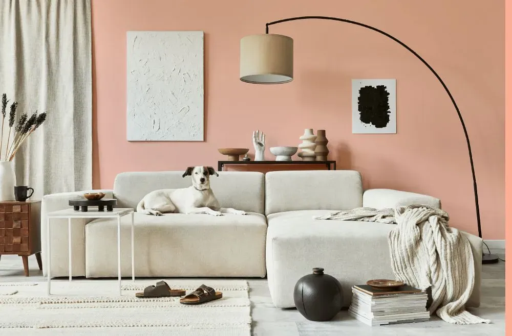 Benjamin Moore Malibu Peach cozy living room
